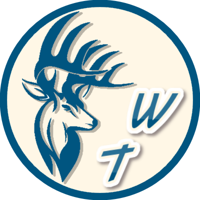 Company avatar