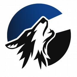 Company avatar
