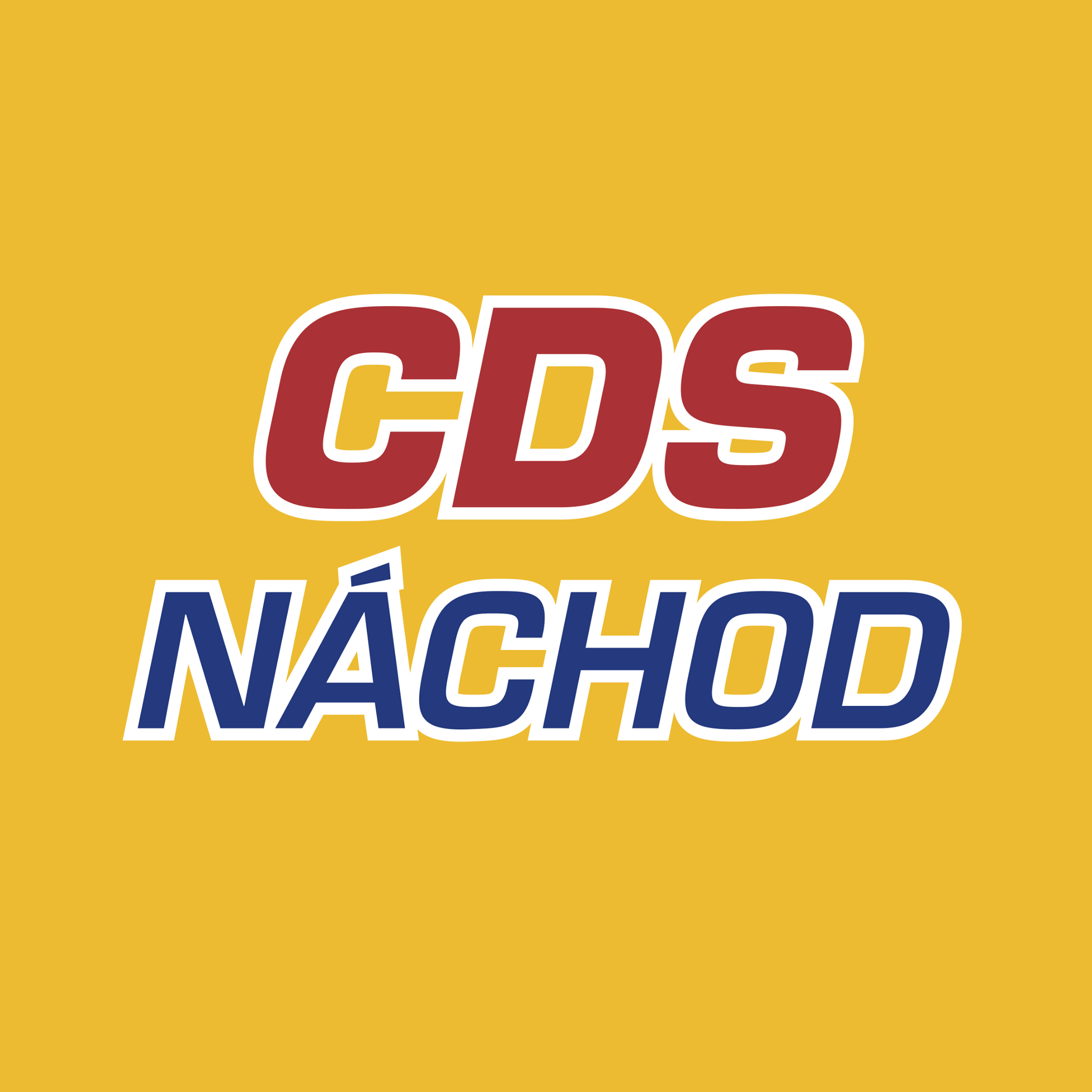 Company avatar