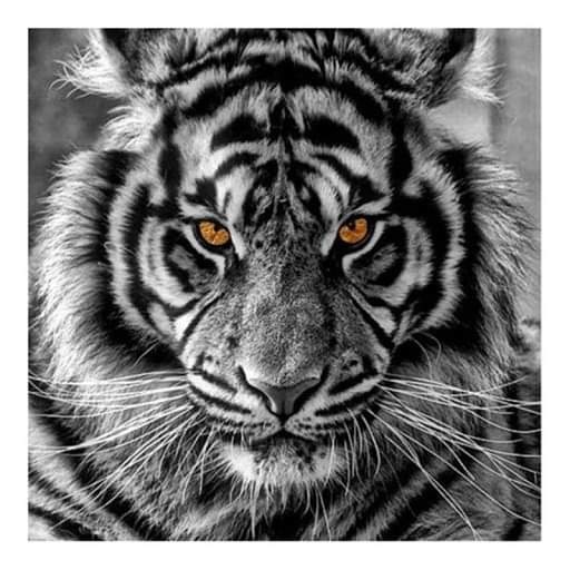 Company avatar