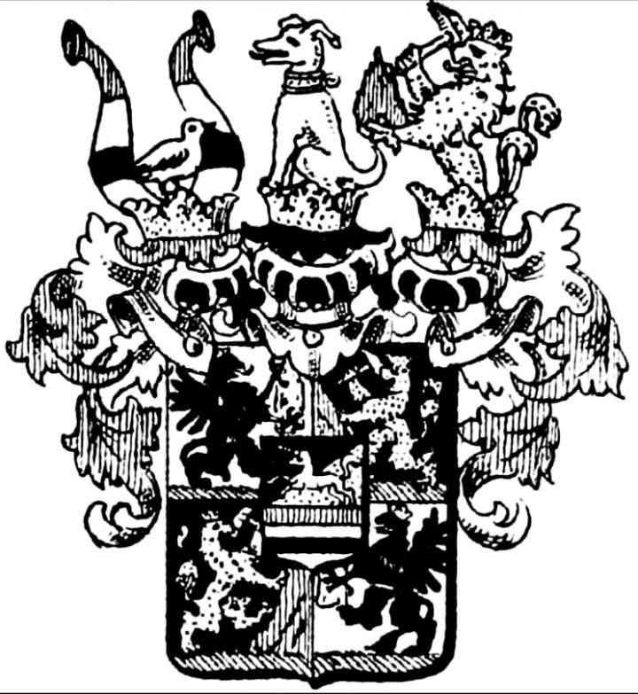 Company avatar