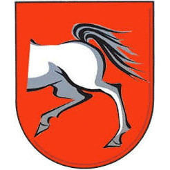 Company avatar