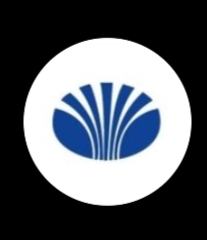Company avatar