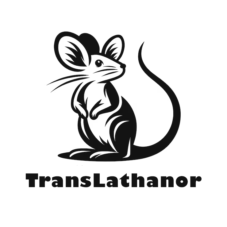 Company avatar