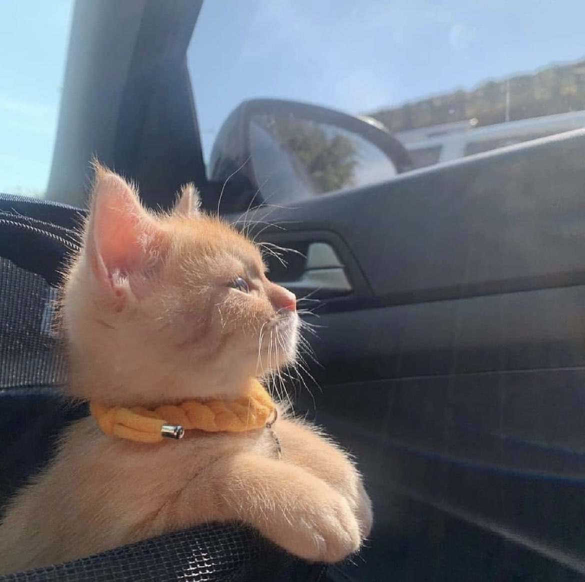 Company avatar
