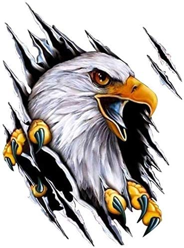 Company avatar