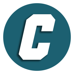 Company avatar