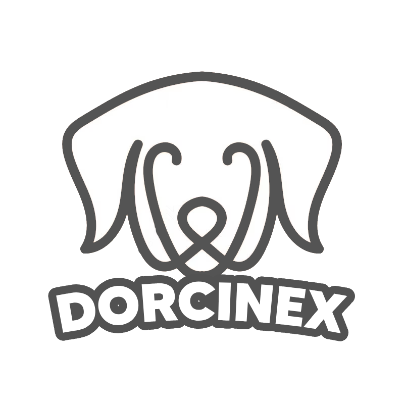 Company avatar
