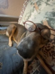 Baton_'s avatar