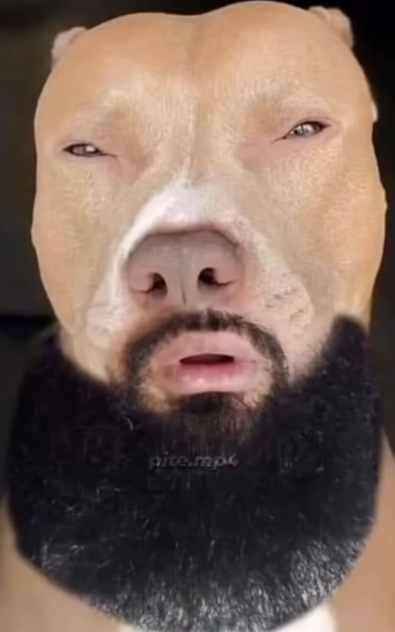 ohadXD's avatar