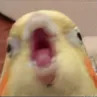 Mooro869's avatar