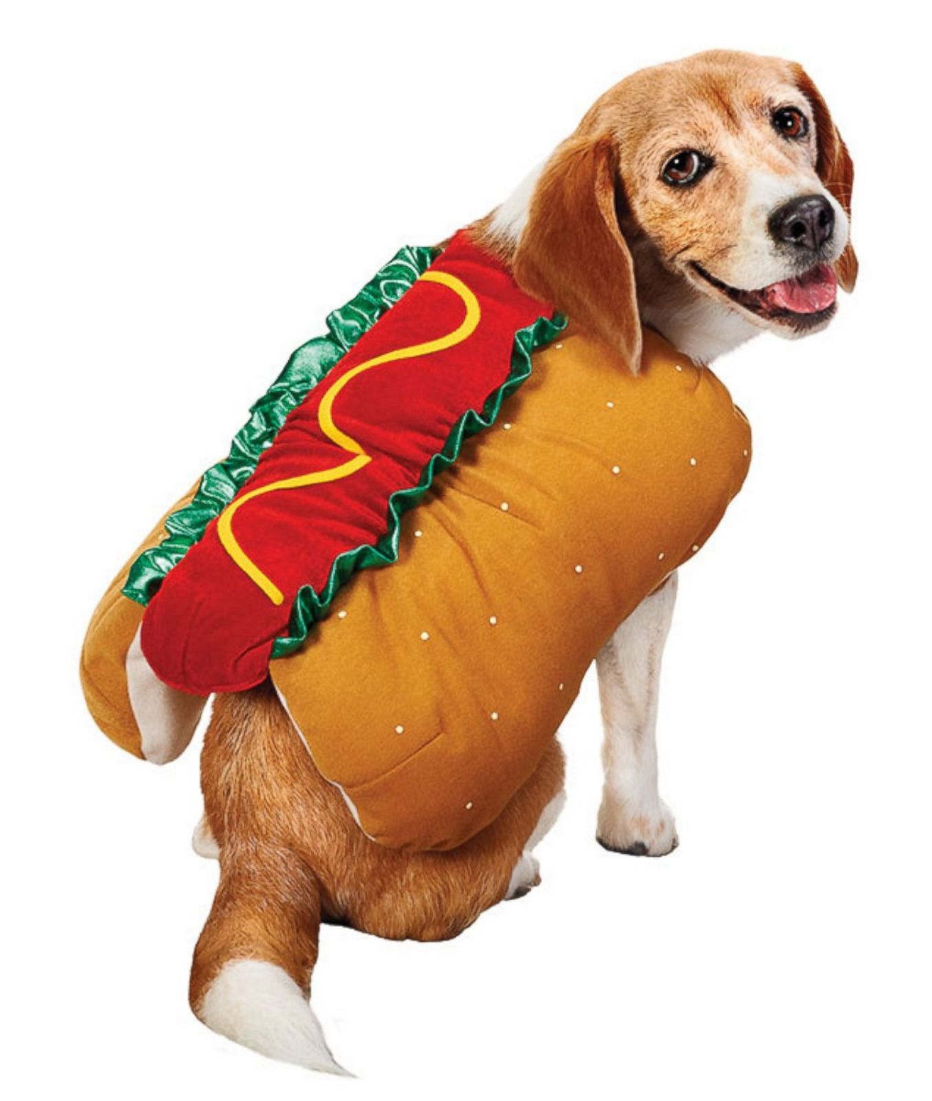 Dog's avatar