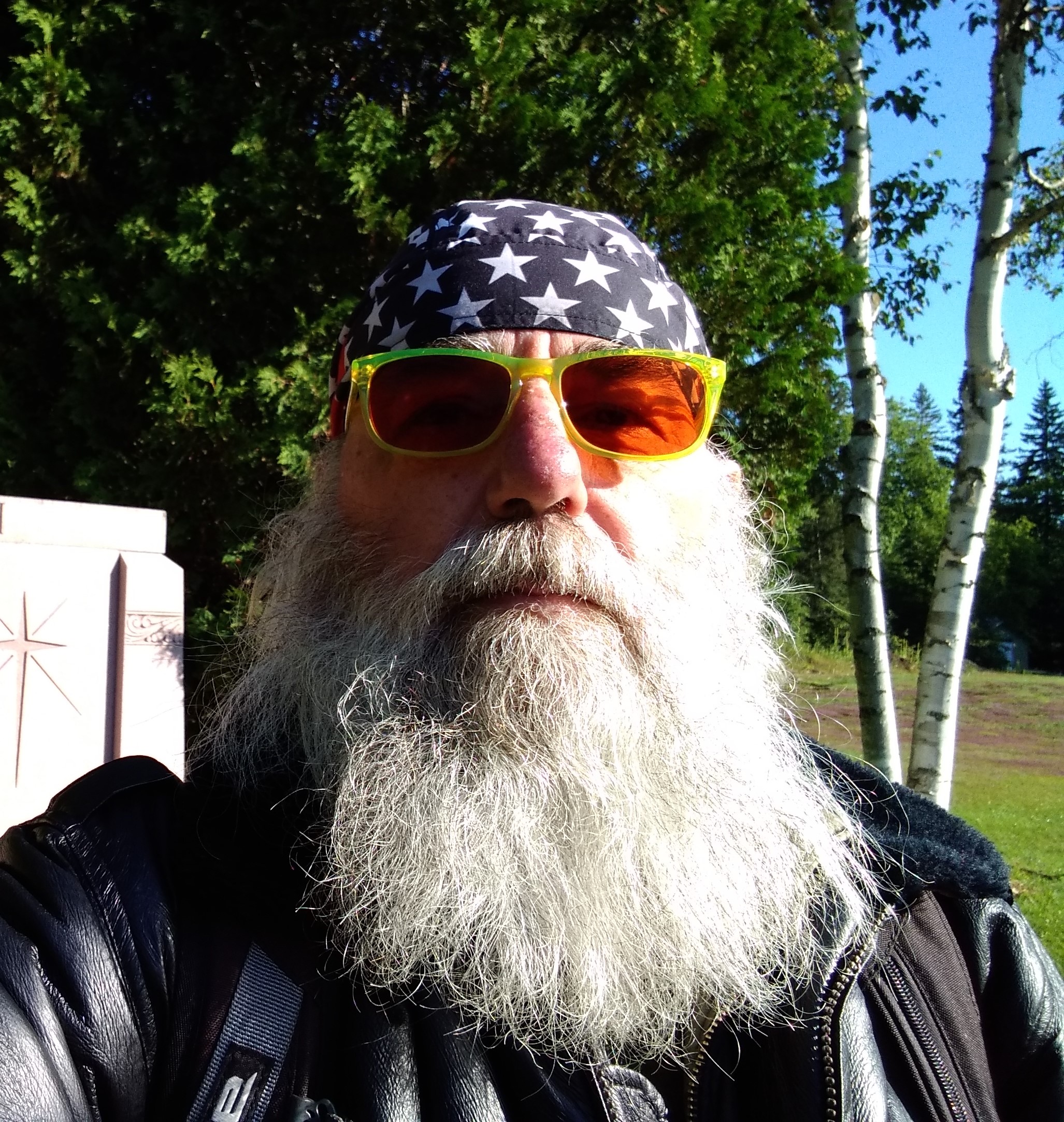 DanboBus22's avatar