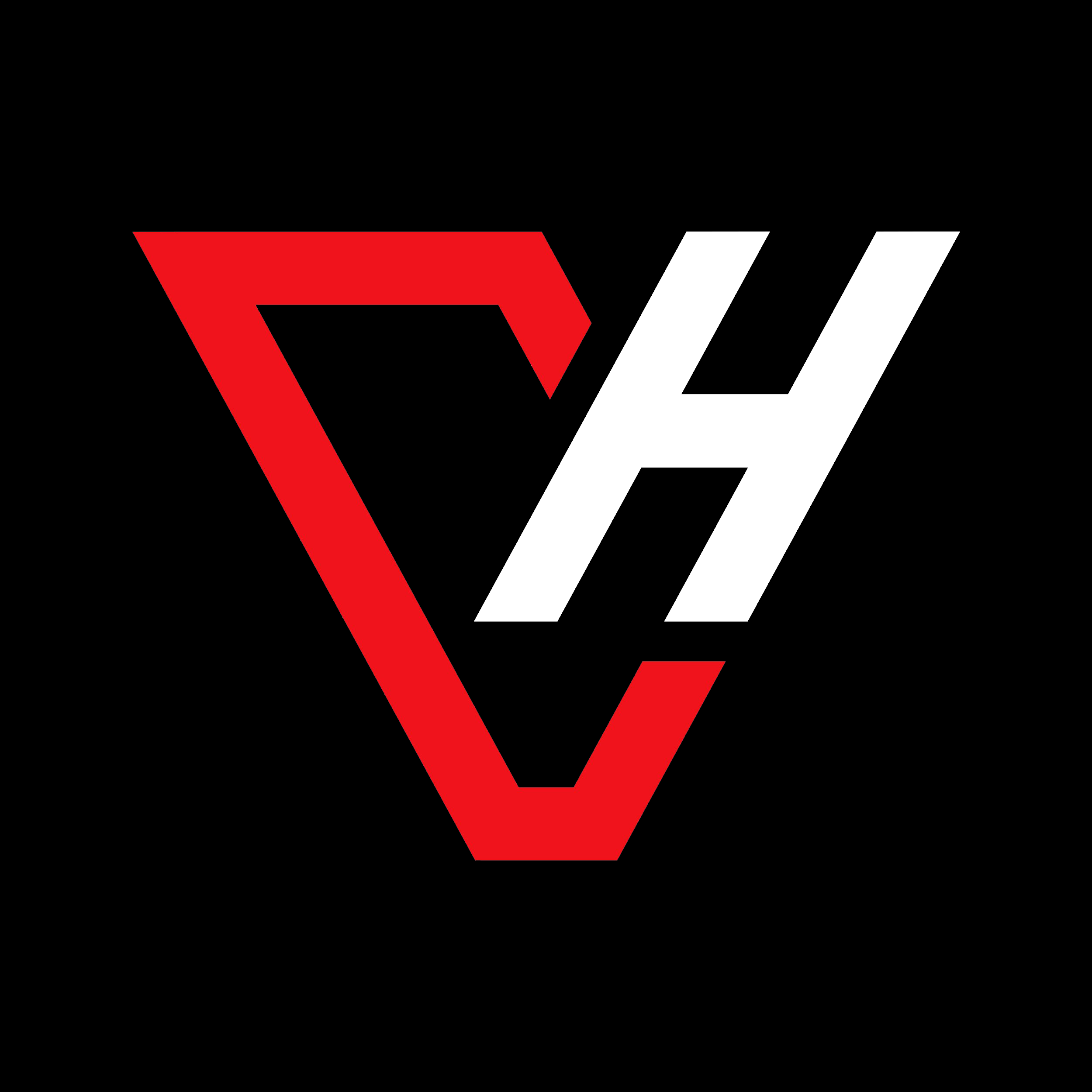 V.i.c.t.o.r.'s avatar