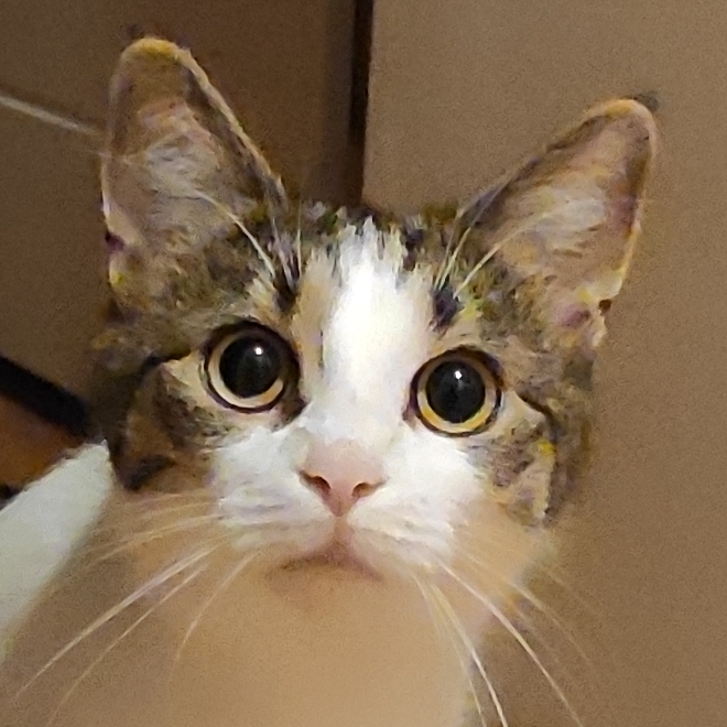 Wiissee's avatar
