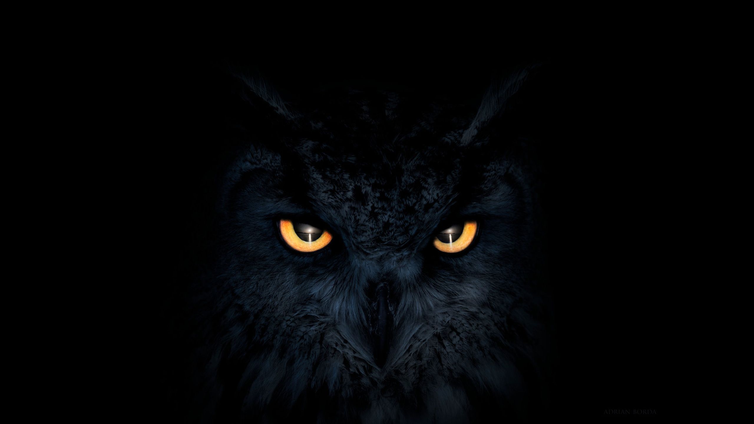 CoZmiNNN's avatar