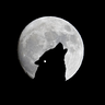 Chernov's avatar