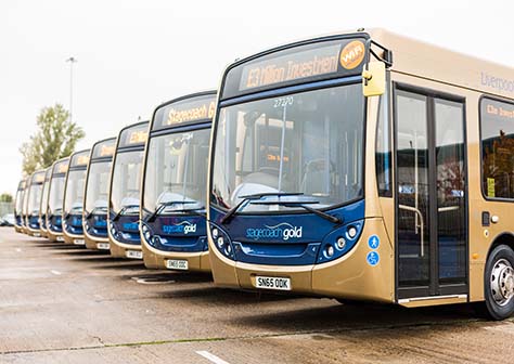 Stagecoach Gold's avatar
