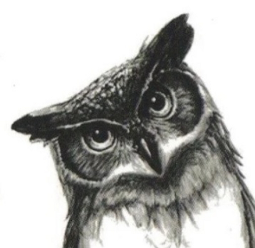 TizeF's avatar