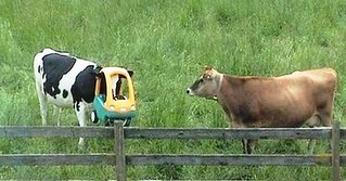 ImStuckStepCow's avatar