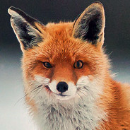 FoxOnTheBox's avatar