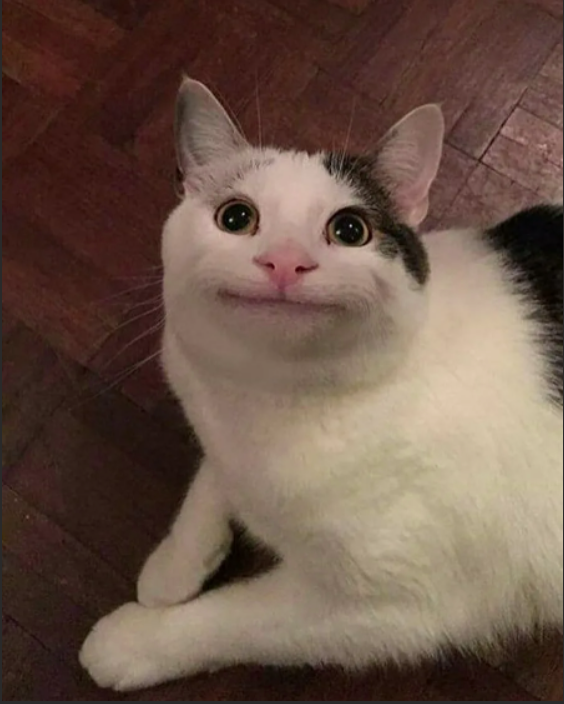 Begula's avatar
