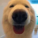 Neutz's avatar