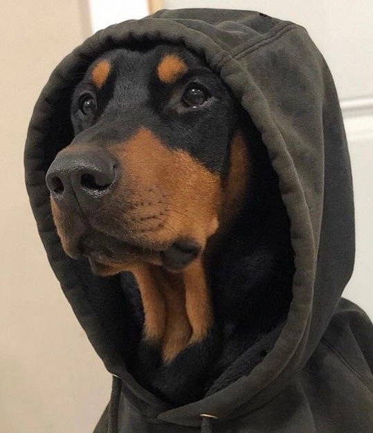 JBY666's avatar