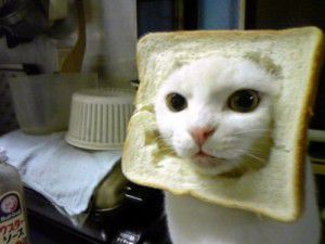 TheMysteryCake's avatar