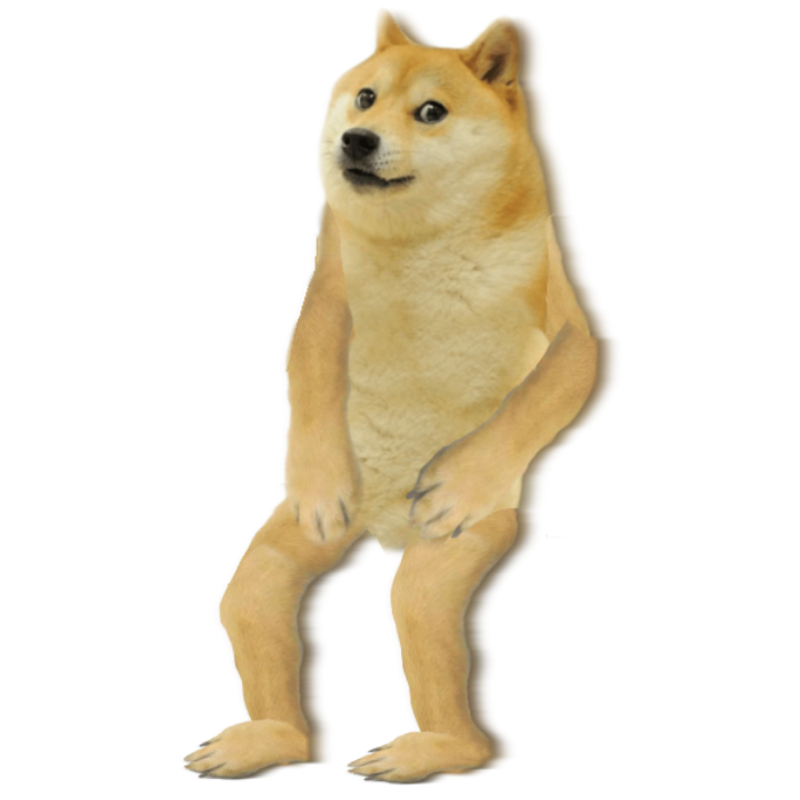 DogeTheMan's avatar