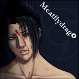 Meatflydrago's avatar