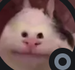 nrLoolee's avatar
