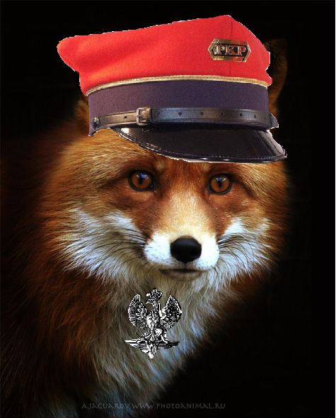 LisBiskupPKPpl's avatar