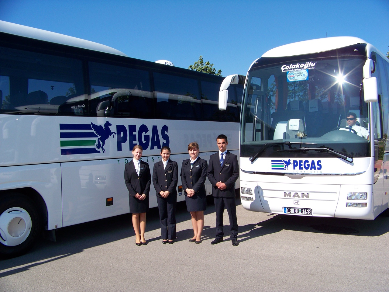 Turkey's avatar