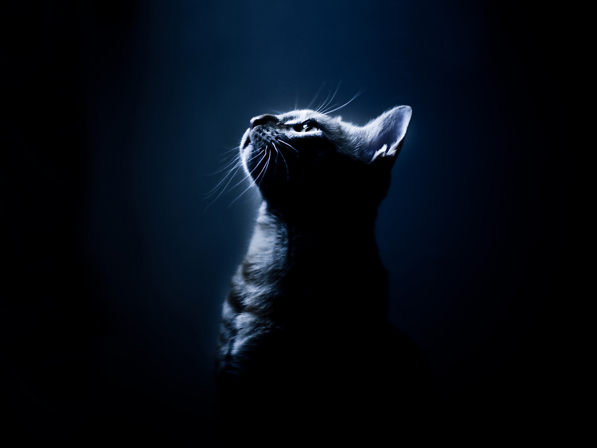 ~ Космос ~'s avatar