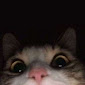 SnowweTTV's avatar