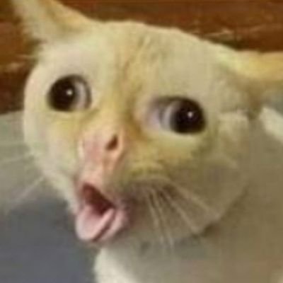 Ossipedia's avatar