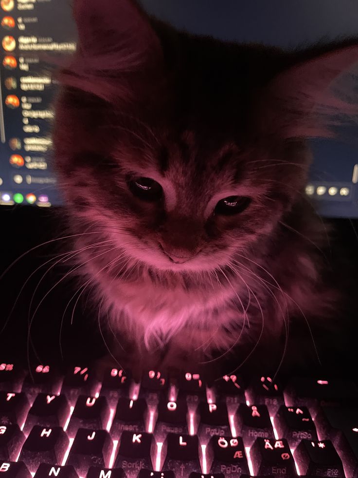 Tobe's avatar