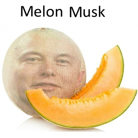 Lord Sežraldort's avatar